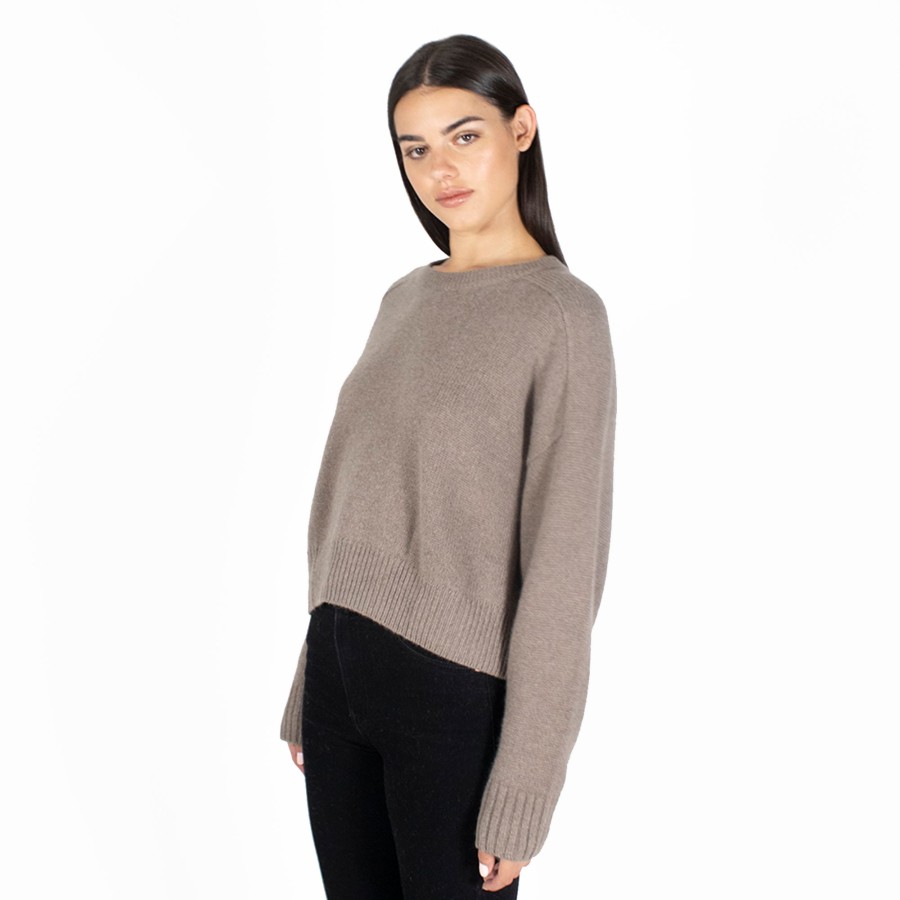 Autumn Cashmere Cropped Boxy Crew Back Yoke In Bark | Sweaters