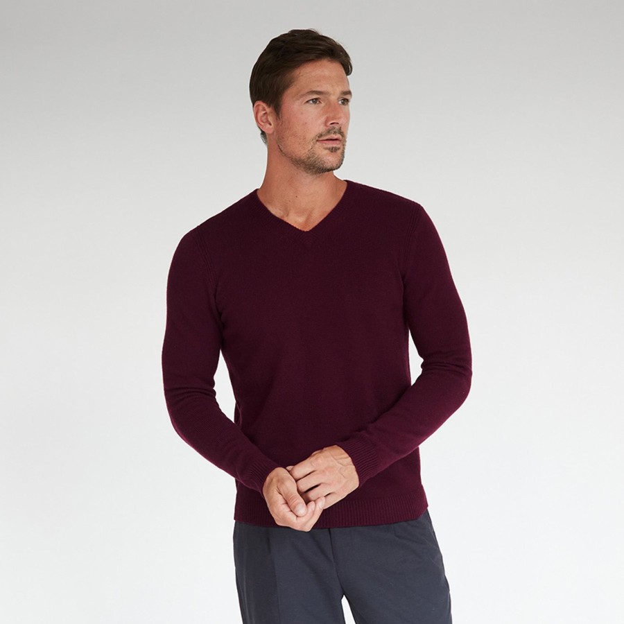 Autumn Cashmere Basic V-Neck In Lava Burgundy | Clothing